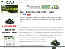 Tablet Screenshot of cajlijecenjebolesti.com